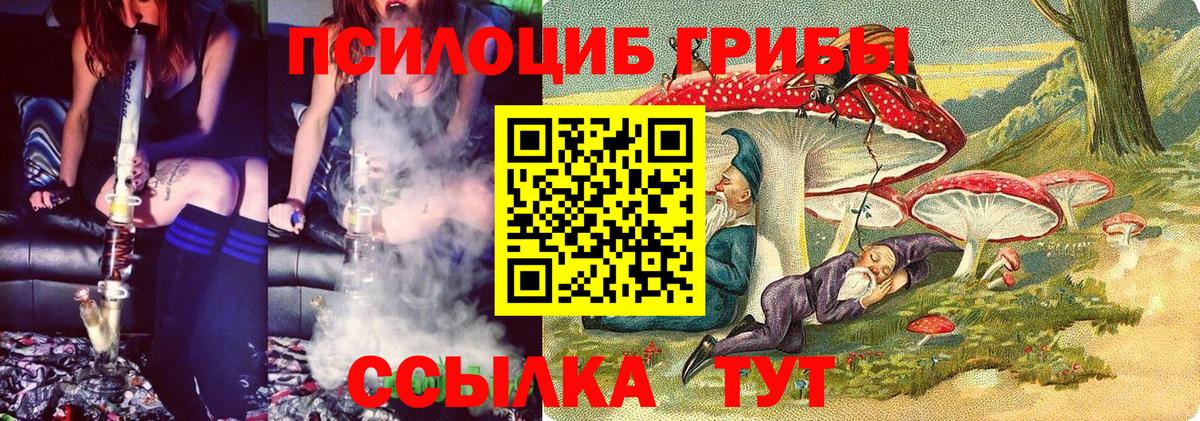 Псилоцибиновые грибы Magic Shrooms Саратов